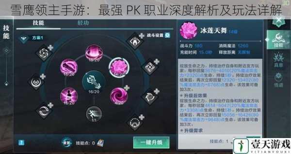 雪鹰领主手游：最强 PK 职业深度解析及玩法详解