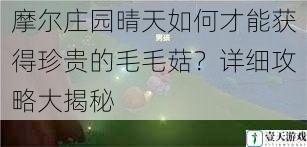 摩尔庄园晴天如何才能获得珍贵的毛毛菇？详细攻略大揭秘