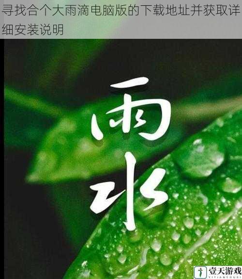 寻找合个大雨滴电脑版的下载地址并获取详细安装说明