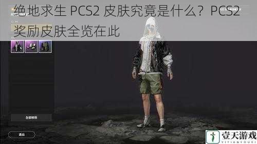 绝地求生 PCS2 皮肤究竟是什么？PCS2 奖励皮肤全览在此