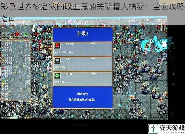彩色世界被治愈的吸血鬼通关秘籍大揭秘：全面攻略指南