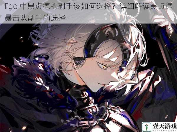 Fgo 中黑贞德的副手该如何选择？详细解读黑贞德暴击队副手的选择