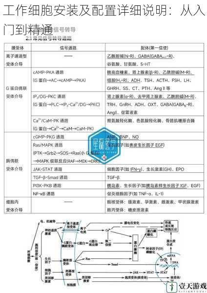 工作细胞安装及配置详细说明：从入门到精通