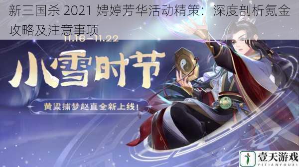 新三国杀 2021 娉婷芳华活动精策：深度剖析氪金攻略及注意事项