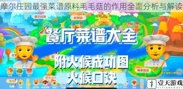 摩尔庄园最强菜谱原料毛毛菇的作用全面分析与解读