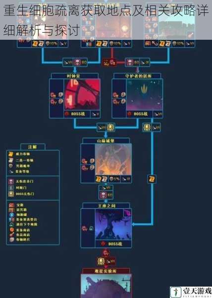 重生细胞疏离获取地点及相关攻略详细解析与探讨