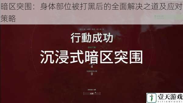 暗区突围：身体部位被打黑后的全面解决之道及应对策略