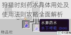 狩猎时刻药水具体用处及使用法则攻略全面解析