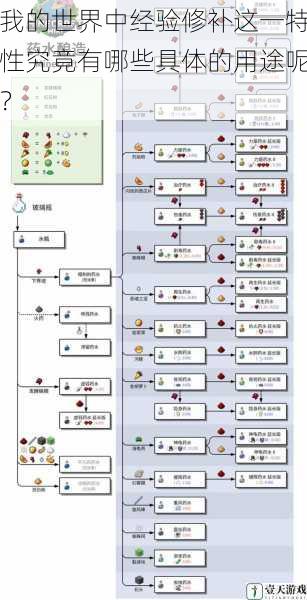 我的世界中经验修补这一特性究竟有哪些具体的用途呢？