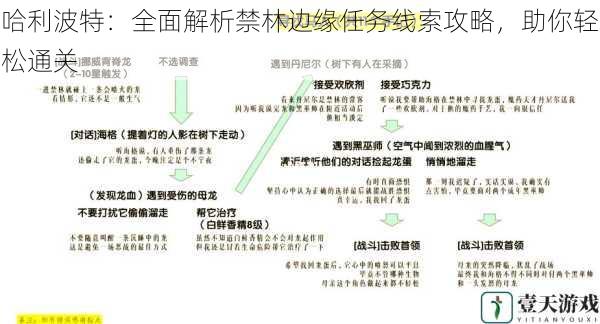 哈利波特：全面解析禁林边缘任务线索攻略，助你轻松通关