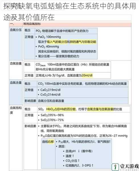 探究缺氧电弧蛞蝓在生态系统中的具体用途及其价值所在