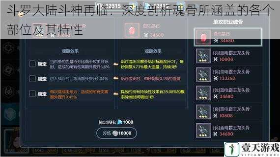 斗罗大陆斗神再临：深度剖析魂骨所涵盖的各个部位及其特性