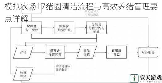 模拟农场17猪圈清洁流程与高效养猪管理要点详解