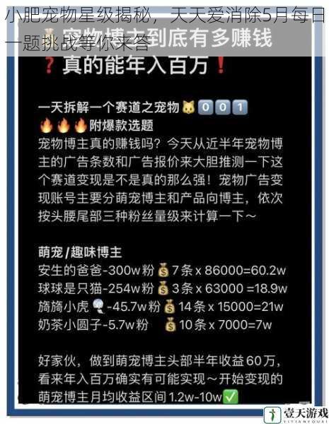 小肥宠物星级揭秘，天天爱消除5月每日一题挑战等你来答