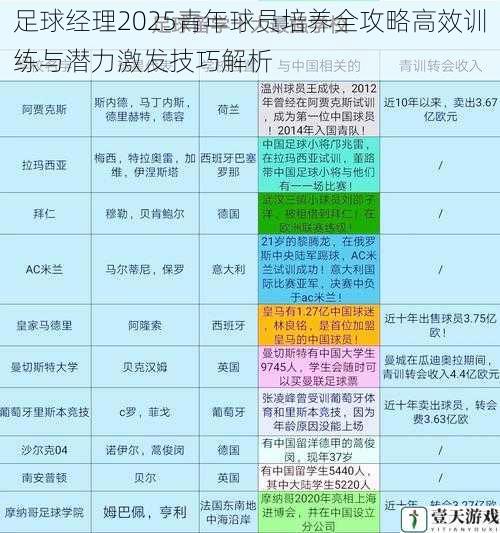 足球经理2025青年球员培养全攻略高效训练与潜力激发技巧解析