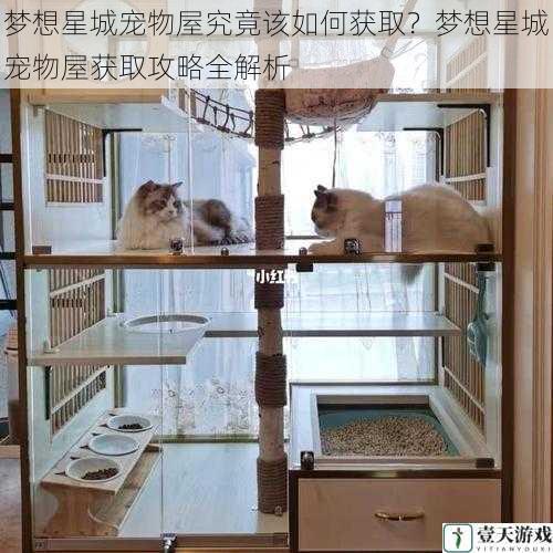 梦想星城宠物屋究竟该如何获取？梦想星城宠物屋获取攻略全解析