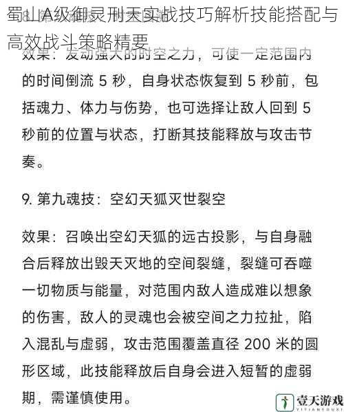 蜀山A级御灵刑天实战技巧解析技能搭配与高效战斗策略精要