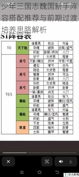 少年三国志魏国新手阵容搭配推荐与前期过渡培养思路解析