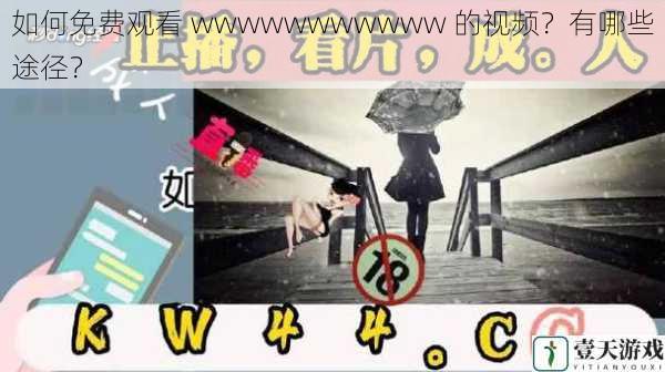 如何免费观看 wwwwwwwwwww 的视频?有哪些途径?