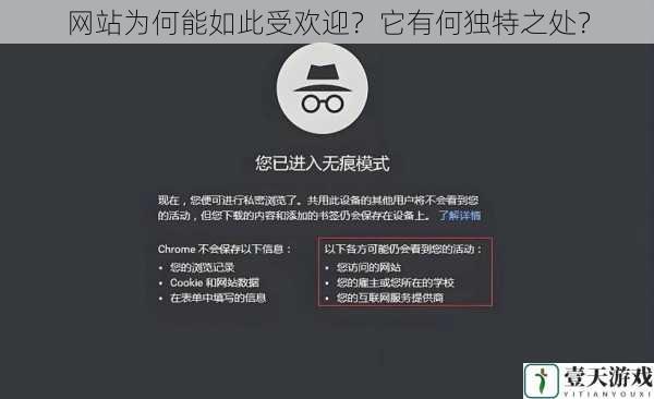 网站为何能如此受欢迎?它有何独特之处?