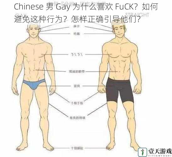 Chinese 男 Gay 为什么喜欢 FuCK？如何避免这种行为？怎样正确引导他们？