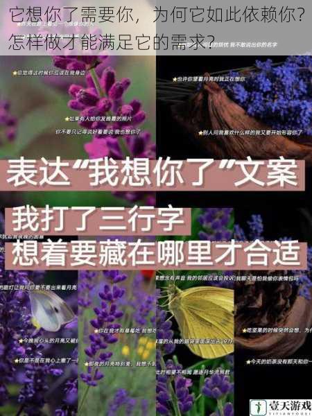 它想你了需要你,为何它如此依赖你?怎样做才能满足它的需求?