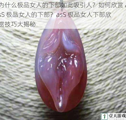 为什么极品女人的下部如此吸引人?如何欣赏 asS 极品女人的下部?asS 极品女人下部欣赏技巧大揭秘
