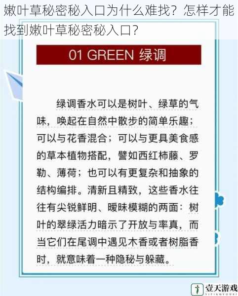 嫩叶草秘密秘入口为什么难找?怎样才能找到嫩叶草秘密秘入口?