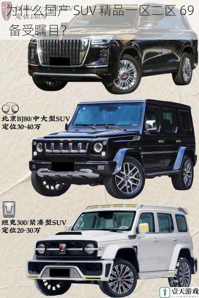 为什么国产 SUV 精品一区二区 69 备受瞩目?