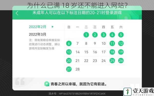 为什么已满 18 岁还不能进入网站?