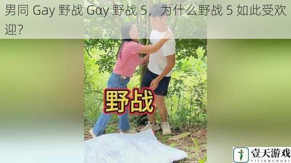 男同 Gay 野战 Gαy 野战 5,为什么野战 5 如此受欢迎?