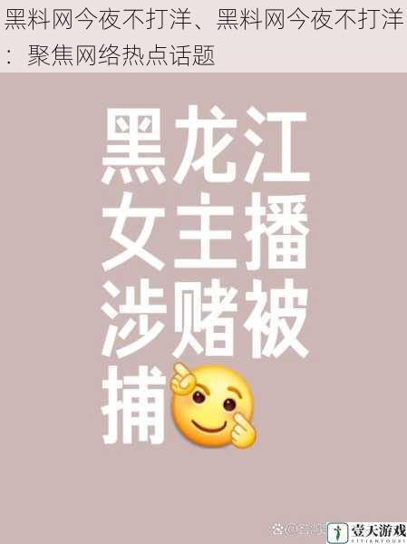 黑料网今夜不打洋、黑料网今夜不打洋:聚焦网络热点话题