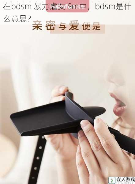 在bdsm 暴力虐女 Sm中,bdsm是什么意思?