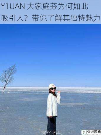 Y1UAN 大家庭芬为何如此吸引人?带你了解其独特魅力