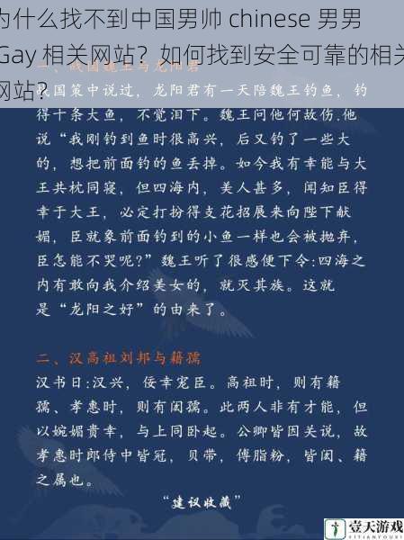 为什么找不到中国男帅 chinese 男男 Gay 相关网站?如何找到安全可靠的相关网站?
