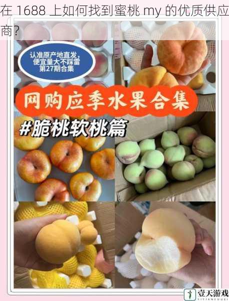 在 1688 上如何找到蜜桃 my 的优质供应商?