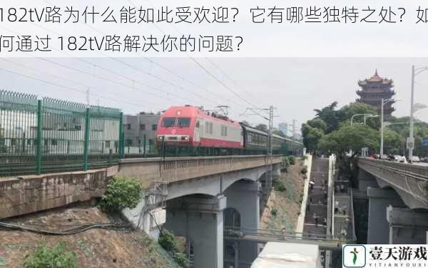 182t∨路为什么能如此受欢迎?它有哪些独特之处?如何通过 182t∨路解决你的问题?