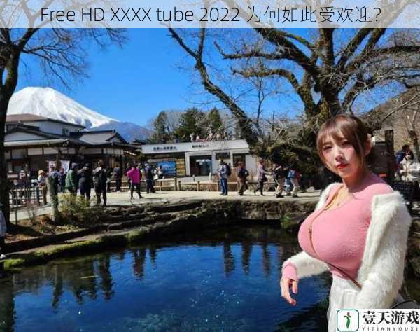 Free HD XXXX tube 2022 为何如此受欢迎?