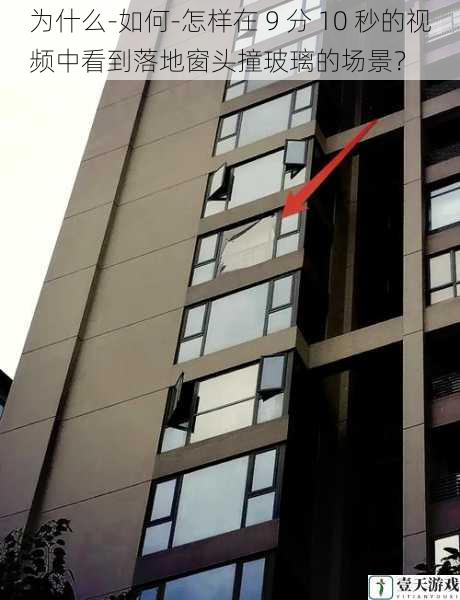 为什么-如何-怎样在 9 分 10 秒的视频中看到落地窗头撞玻璃的场景?