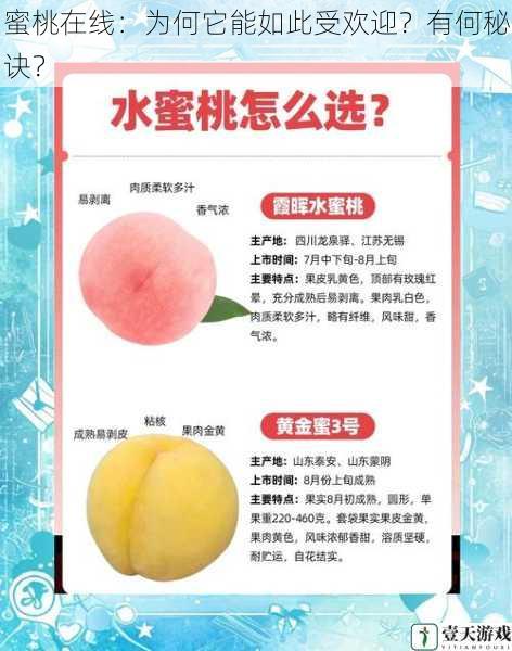蜜桃在线：为何它能如此受欢迎？有何秘诀？