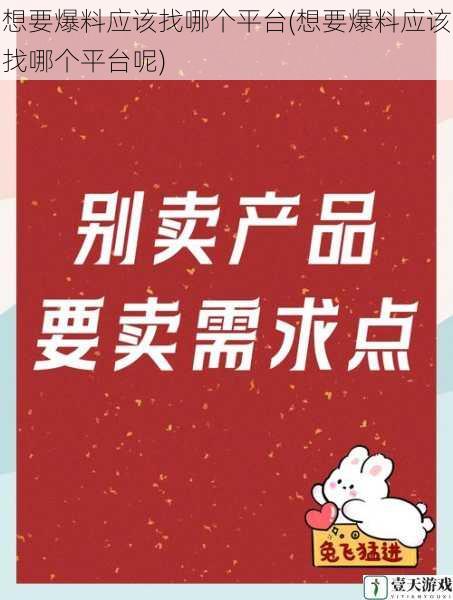 想要爆料应该找哪个平台(想要爆料应该找哪个平台呢)