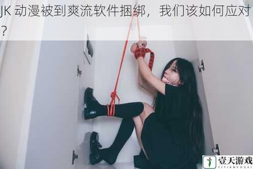 JK 动漫被到爽流软件捆绑,我们该如何应对?
