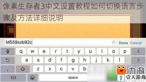 像素生存者3中文设置教程如何切换语言步骤及方法详细说明