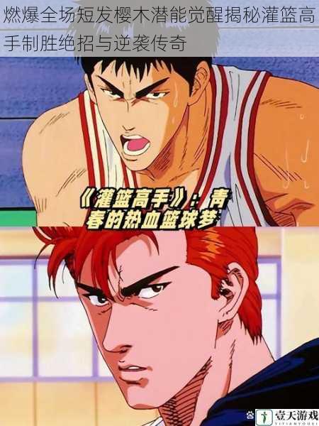 燃爆全场短发樱木潜能觉醒揭秘灌篮高手制胜绝招与逆袭传奇