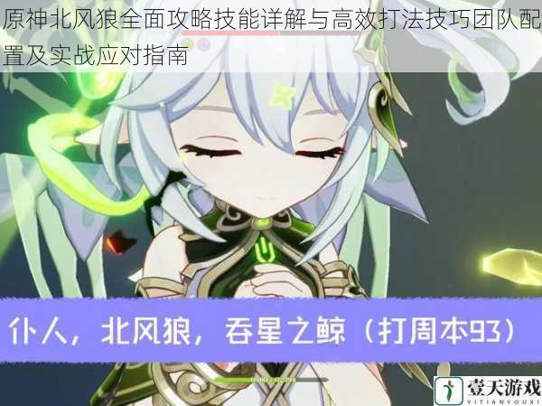 原神北风狼全面攻略技能详解与高效打法技巧团队配置及实战应对指南
