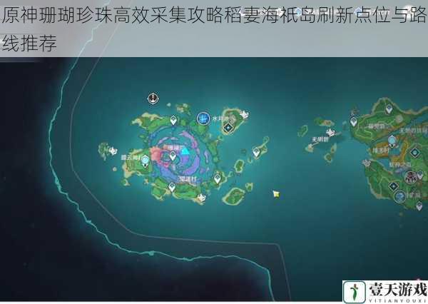 原神珊瑚珍珠高效采集攻略稻妻海祇岛刷新点位与路线推荐