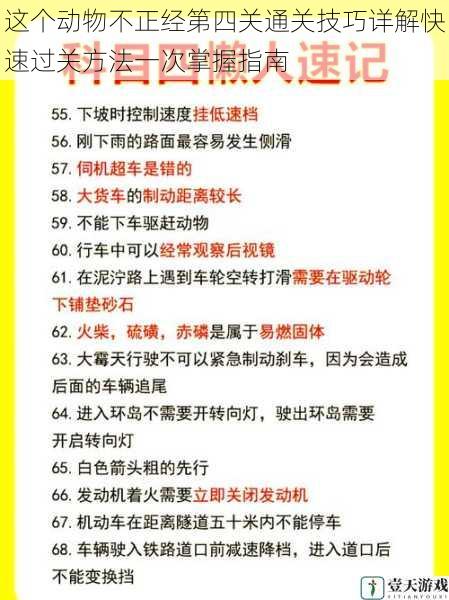 这个动物不正经第四关通关技巧详解快速过关方法一次掌握指南