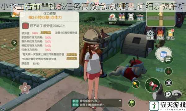 小森生活前辈挑战任务高效完成攻略与详细步骤解析