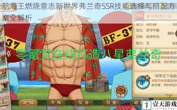 航海王燃烧意志新世界弗兰奇SSR技能选择与搭配方案全解析
