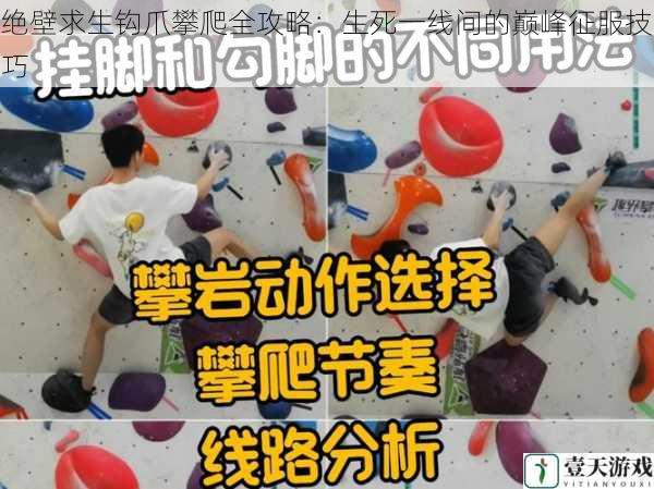 绝壁求生钩爪攀爬全攻略:生死一线间的巅峰征服技巧